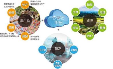 他山之石可以攻玉 借鉴美国农业信息化经验，以信息技术咨询服务升级中国农民